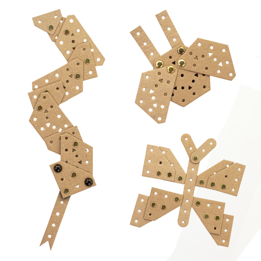 Kit 3 en 1 Animalia Nivel 1